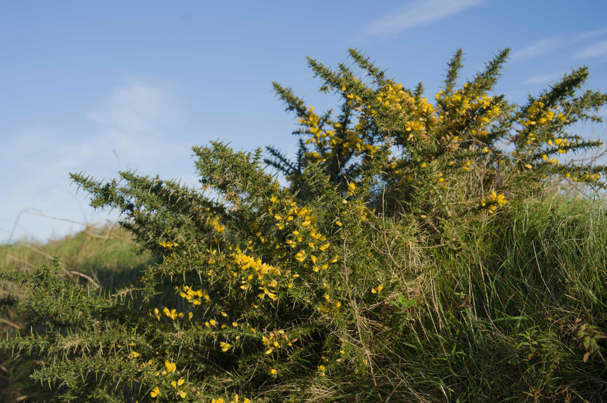 Fitness this week, #3 2025