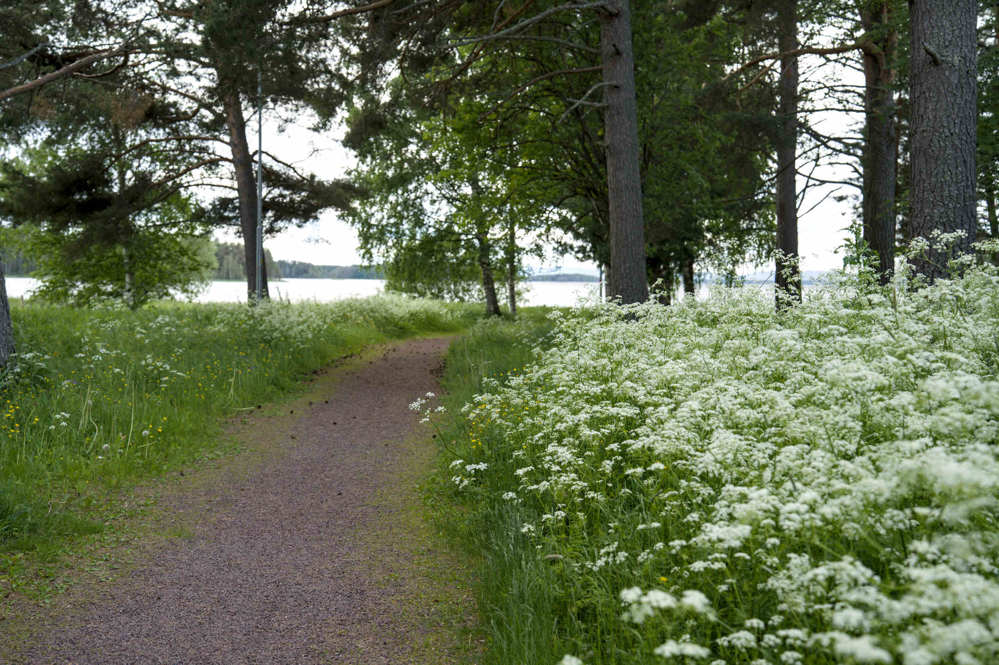 Travel plans (or the lack thereof)