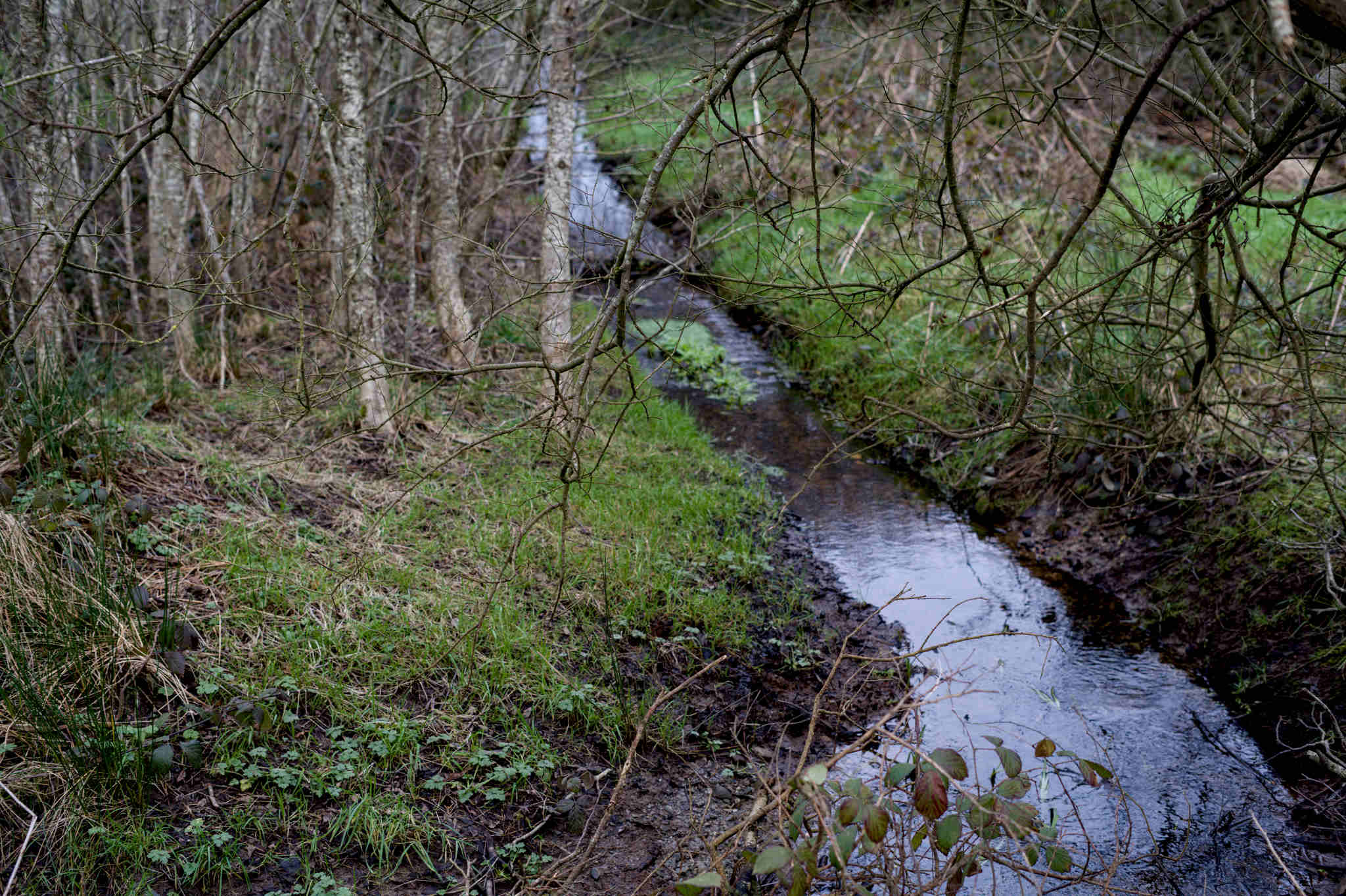 Fitness this week, #2 2026