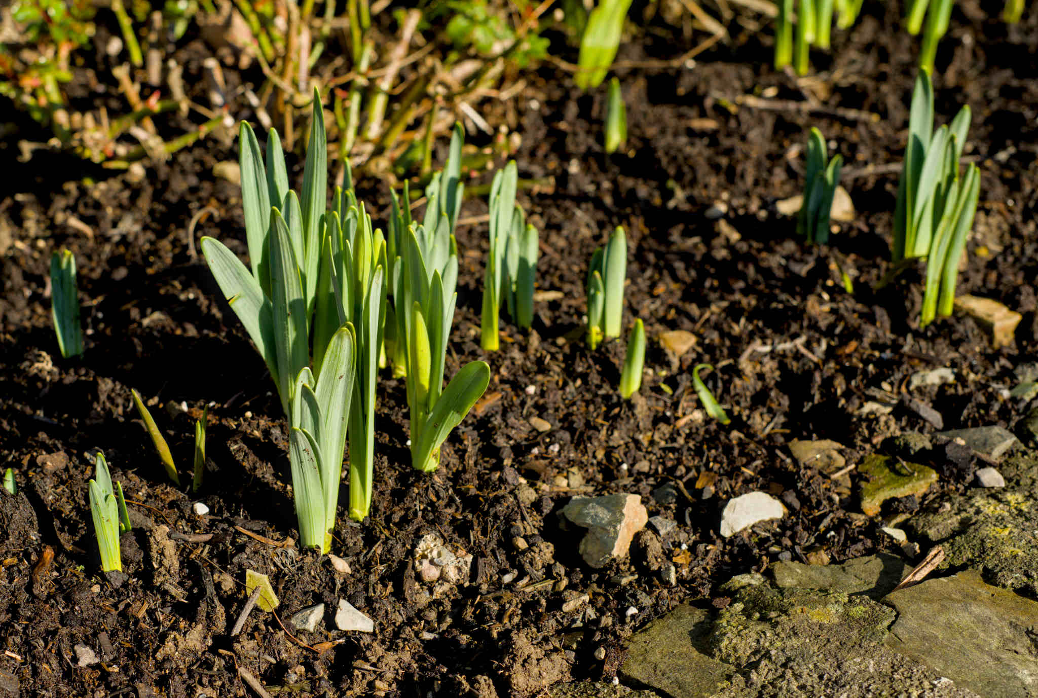 Fitness this week, #3 2026