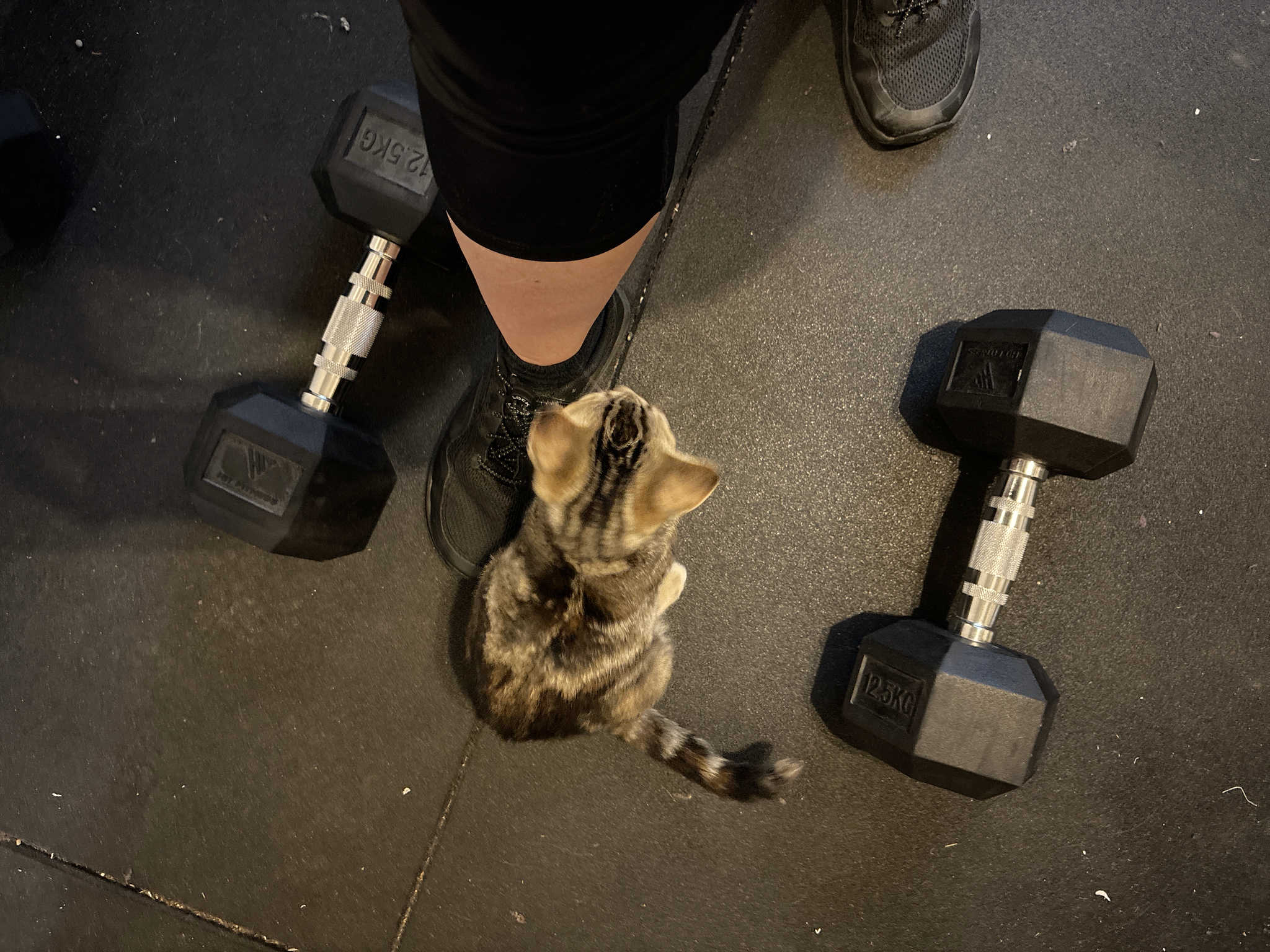 Fitness this week, #4 2026