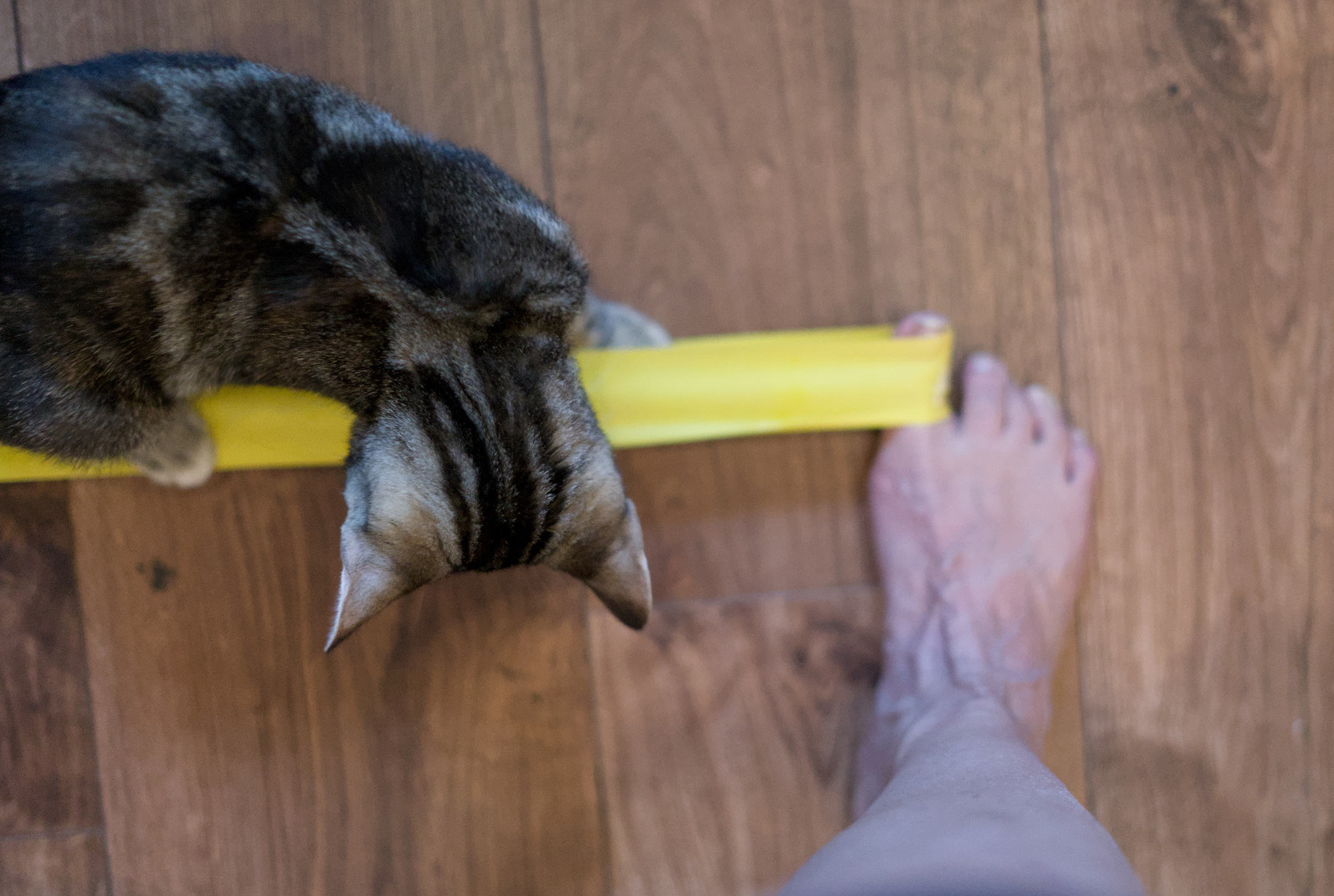 Fitness this week, #5 2026