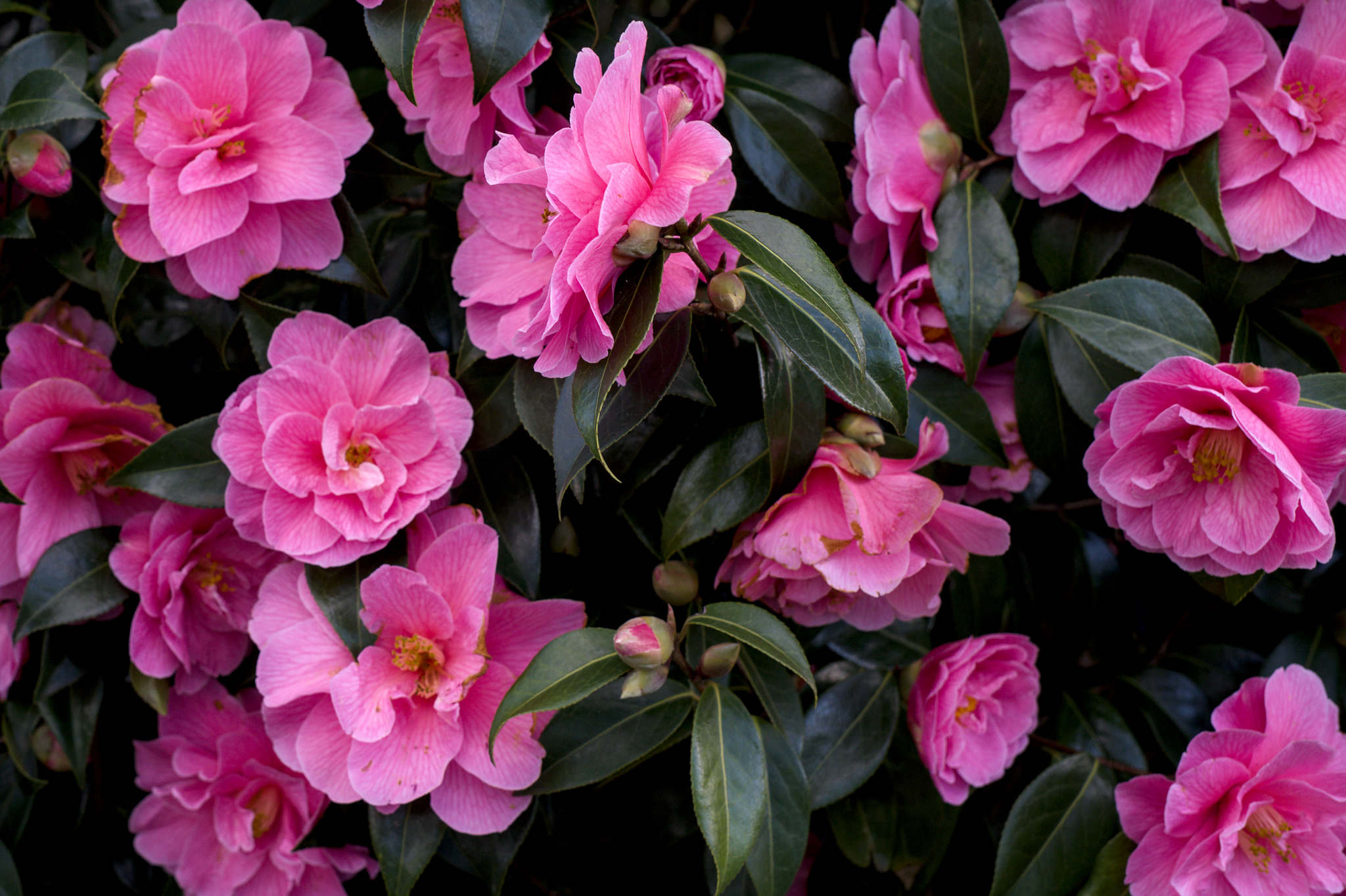 Fitness this week, #6 2026