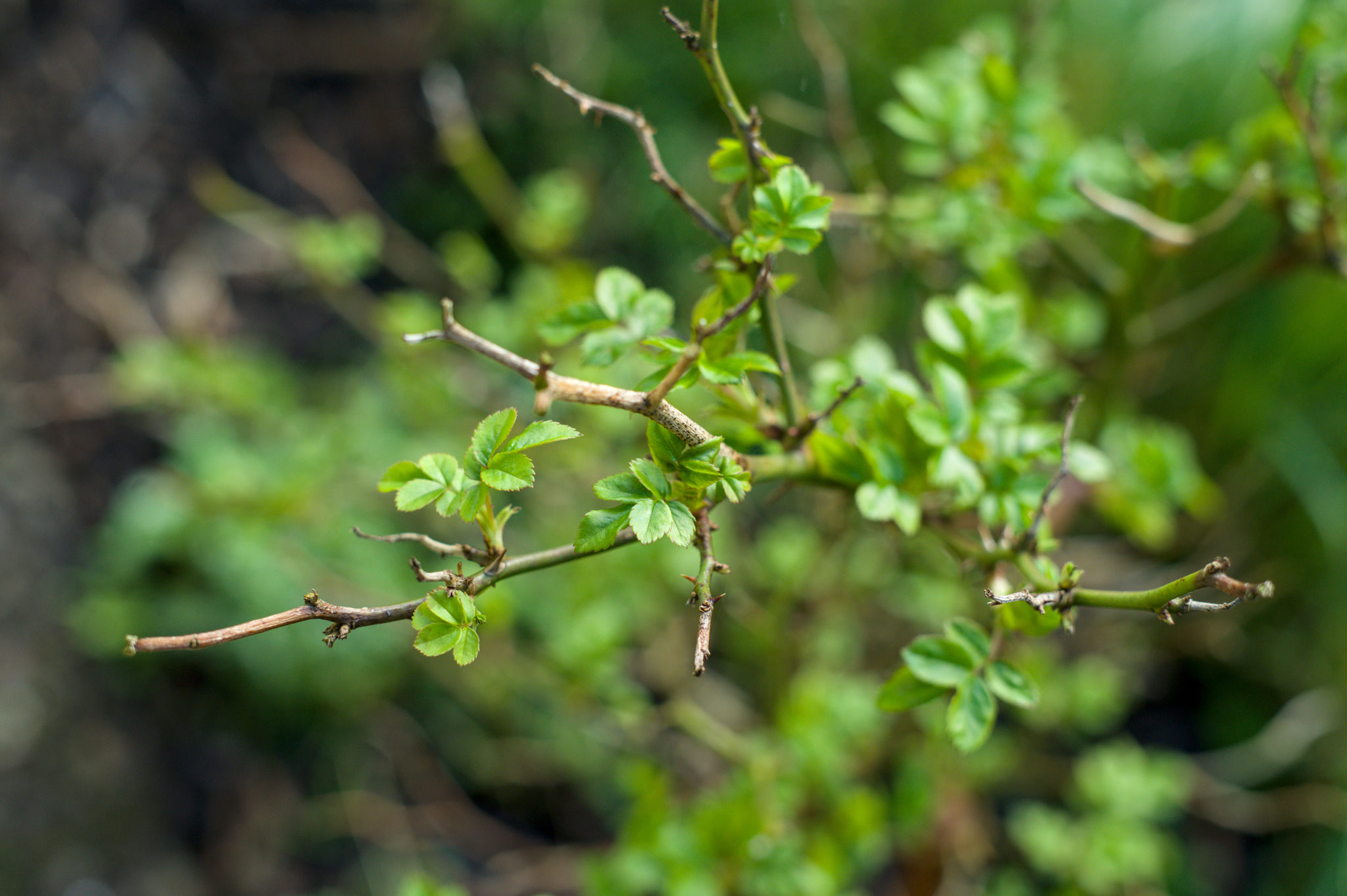 Fitness this week, #7 2026