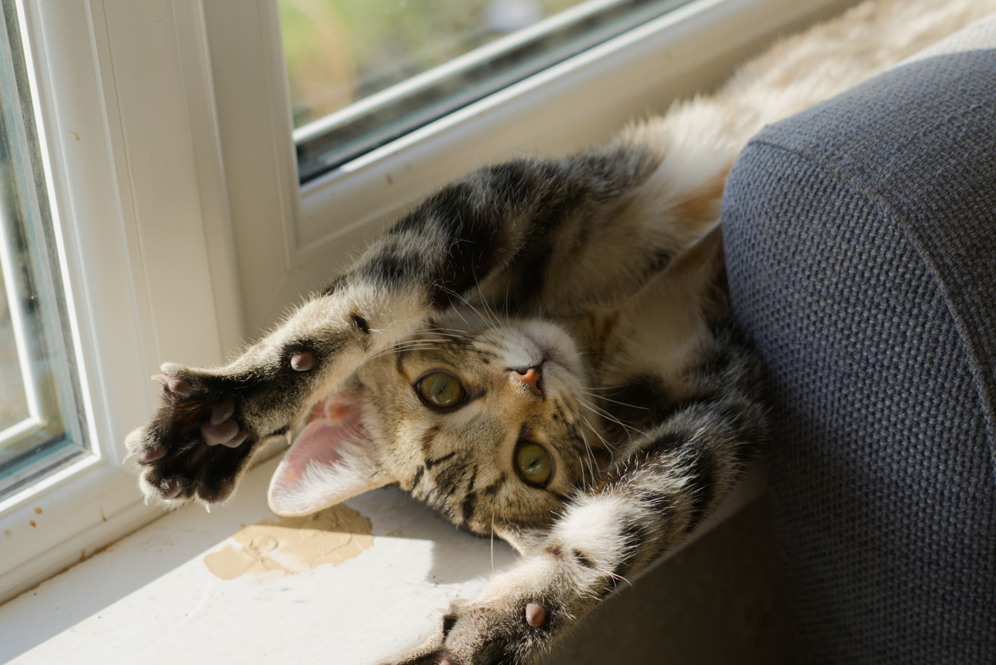 Mixed good things lately