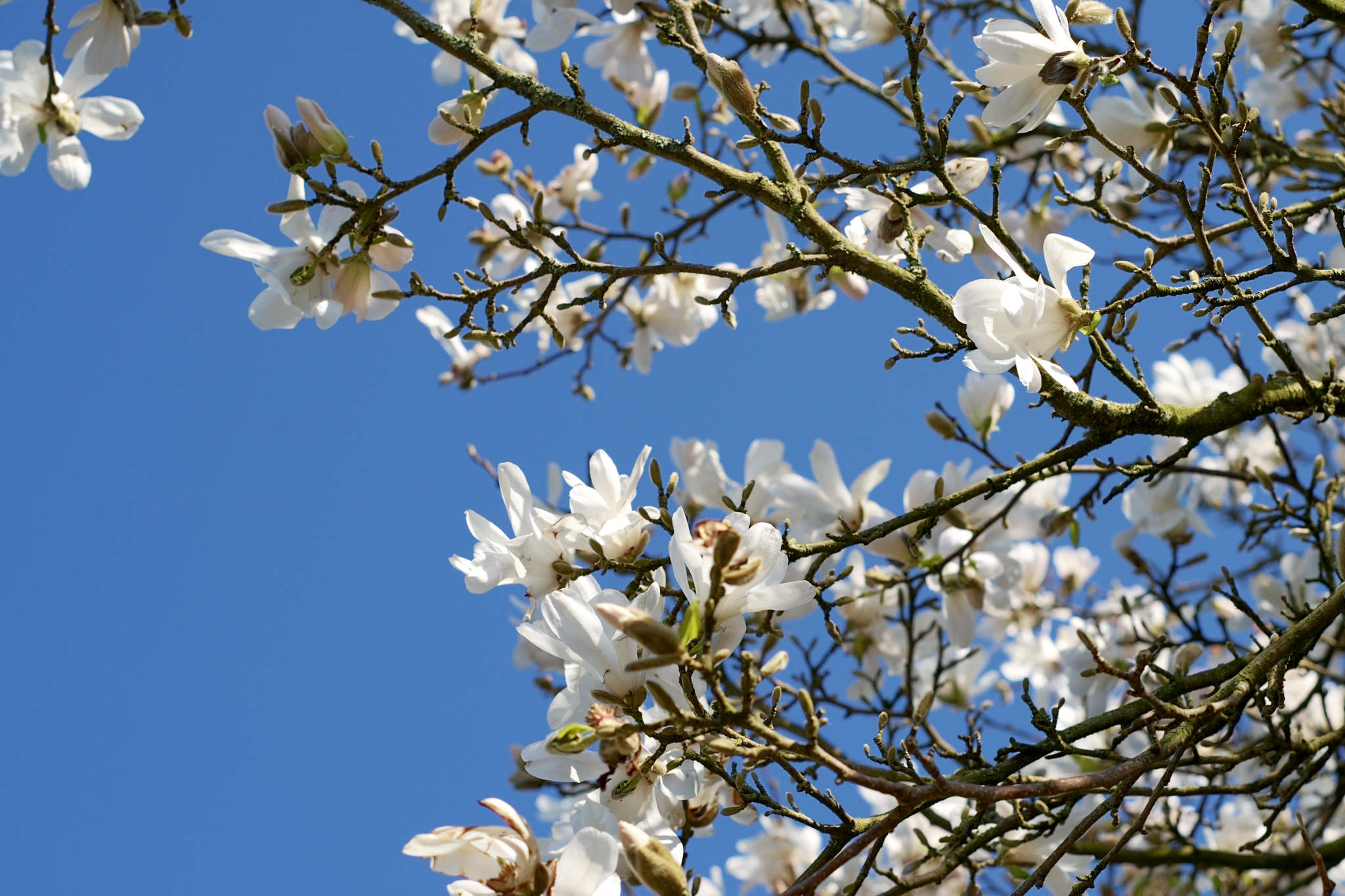 Fitness this week, #9 2026