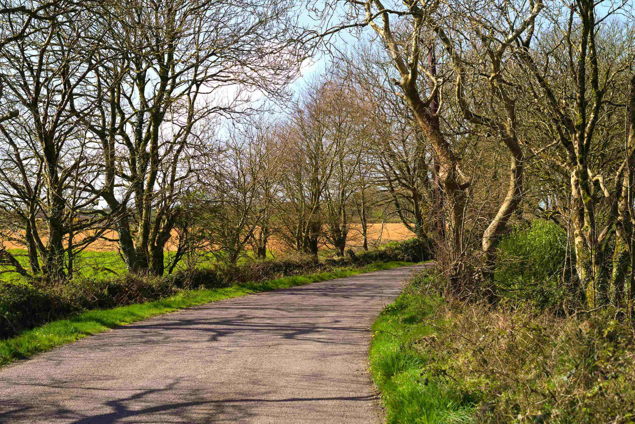 Fitness this week, #10 2026