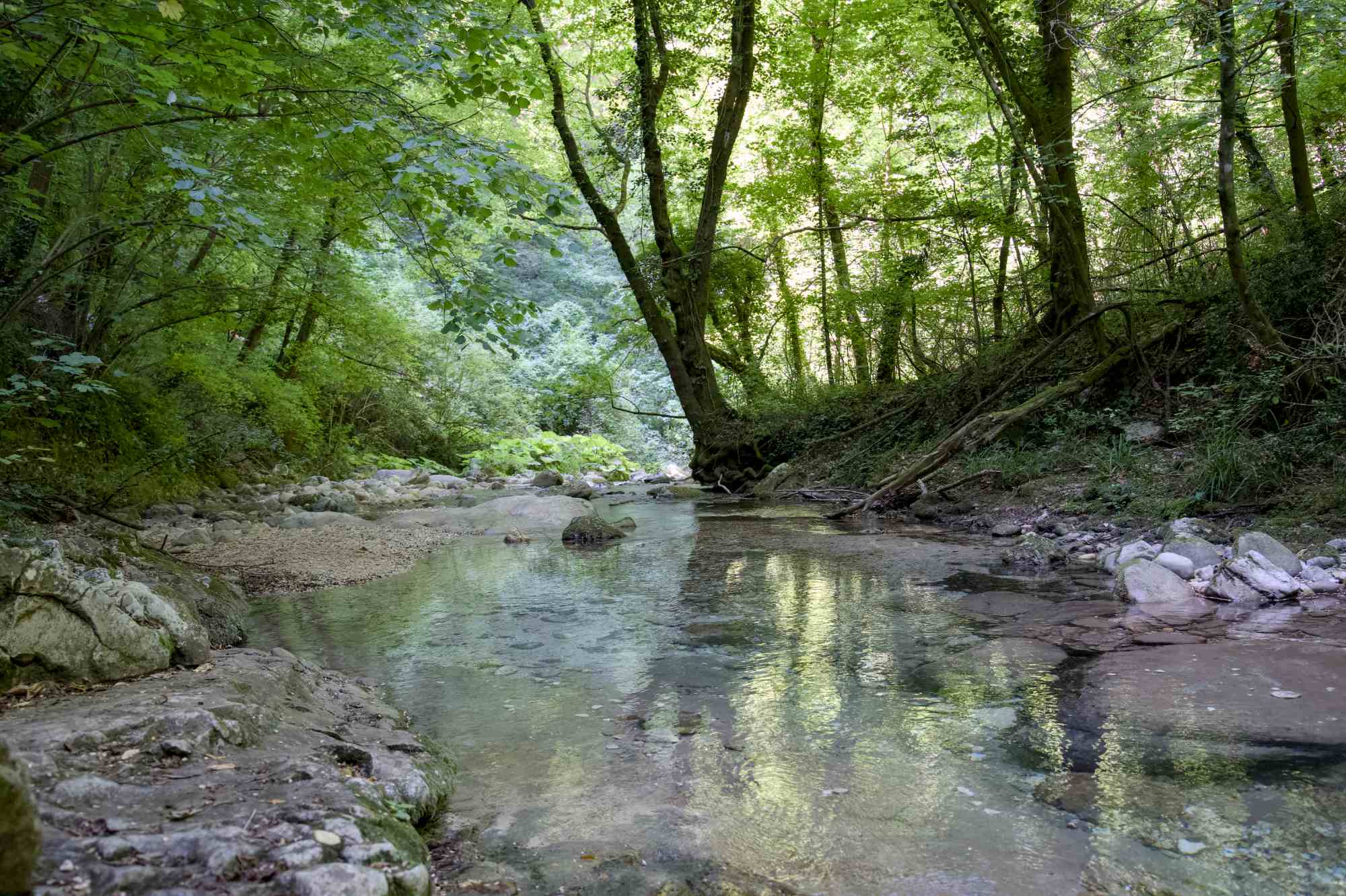 Valle dell' Orfento