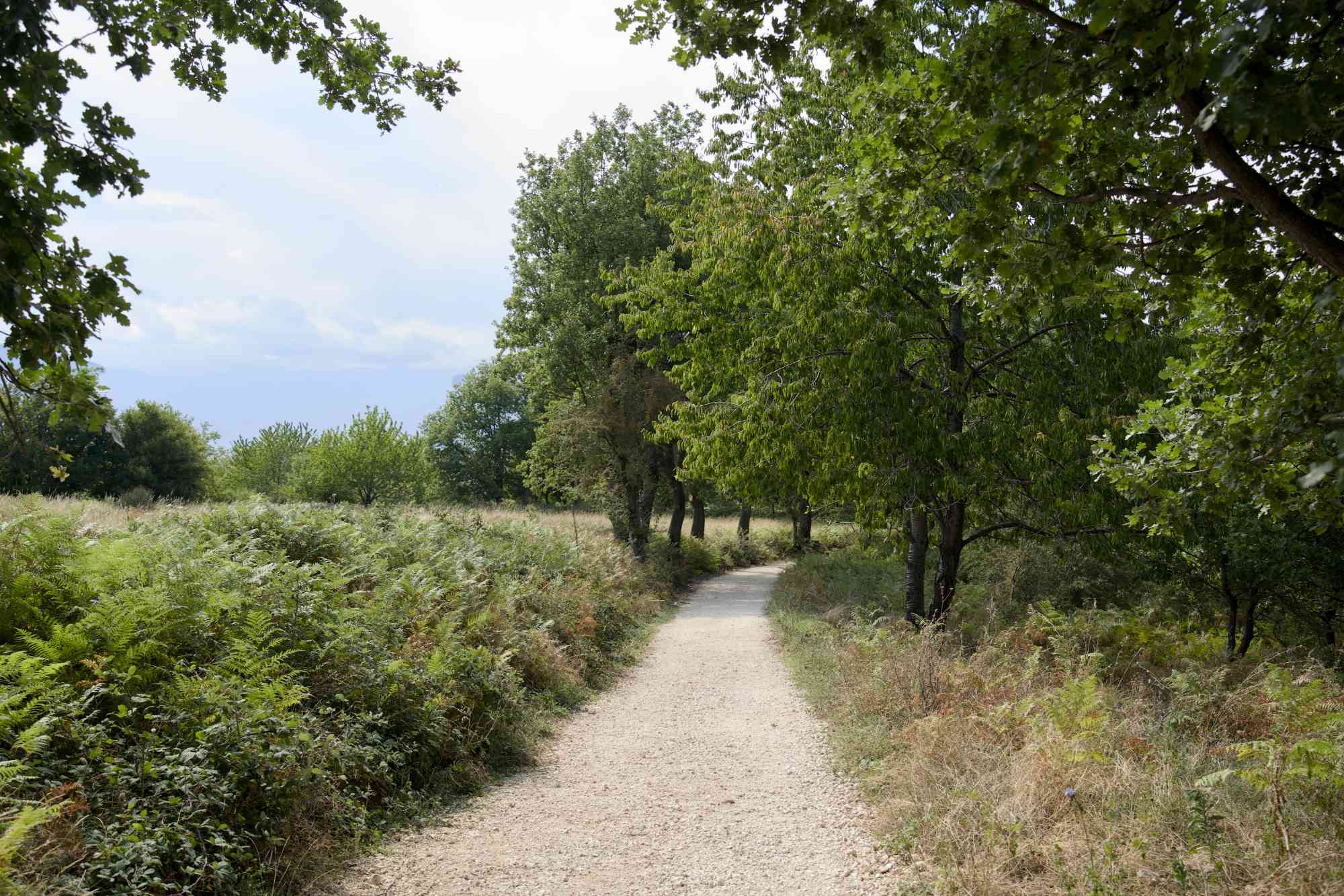 Eremo di San Bartolomeo in Legio