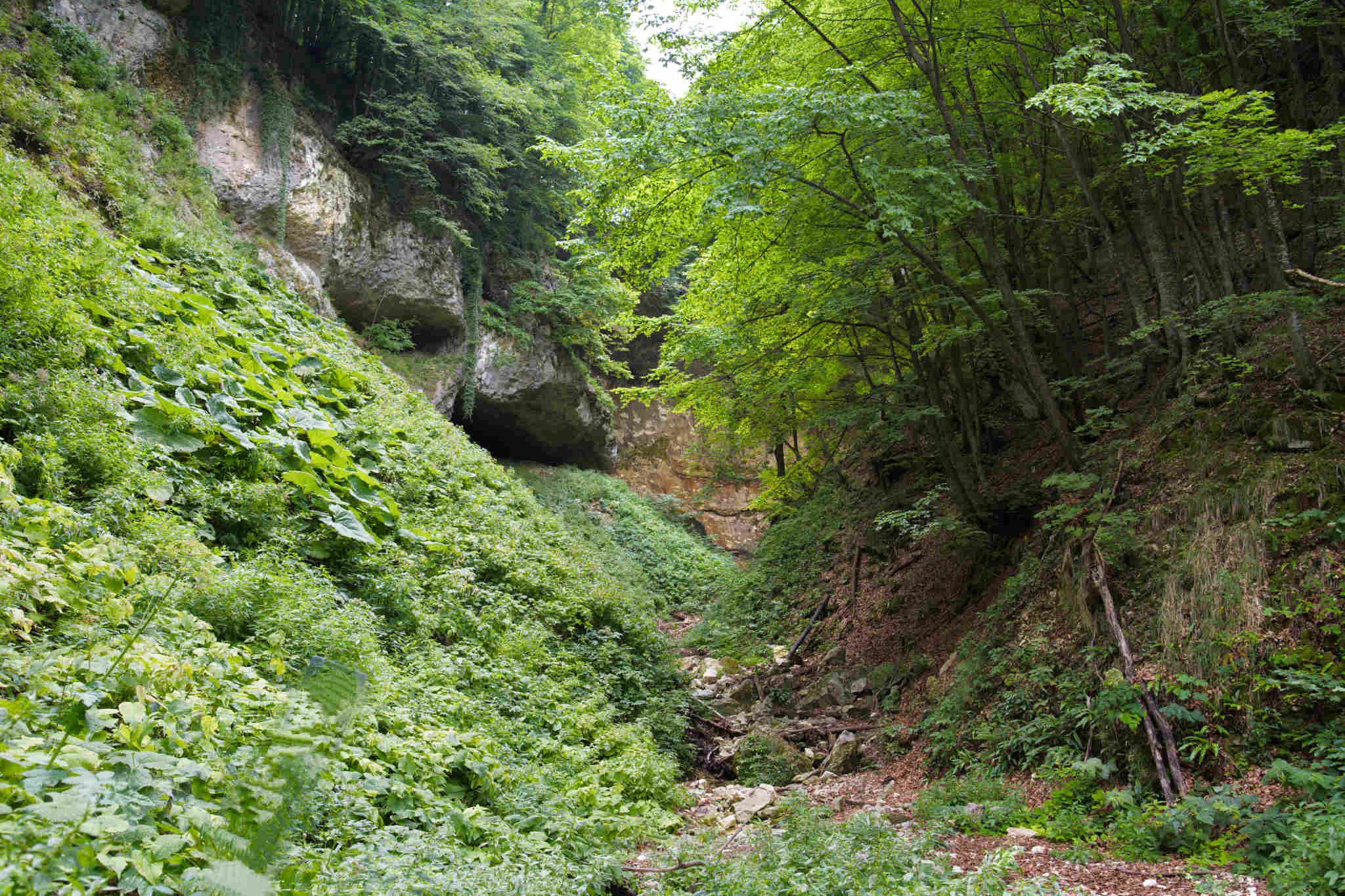 Cascata dell' Asinara