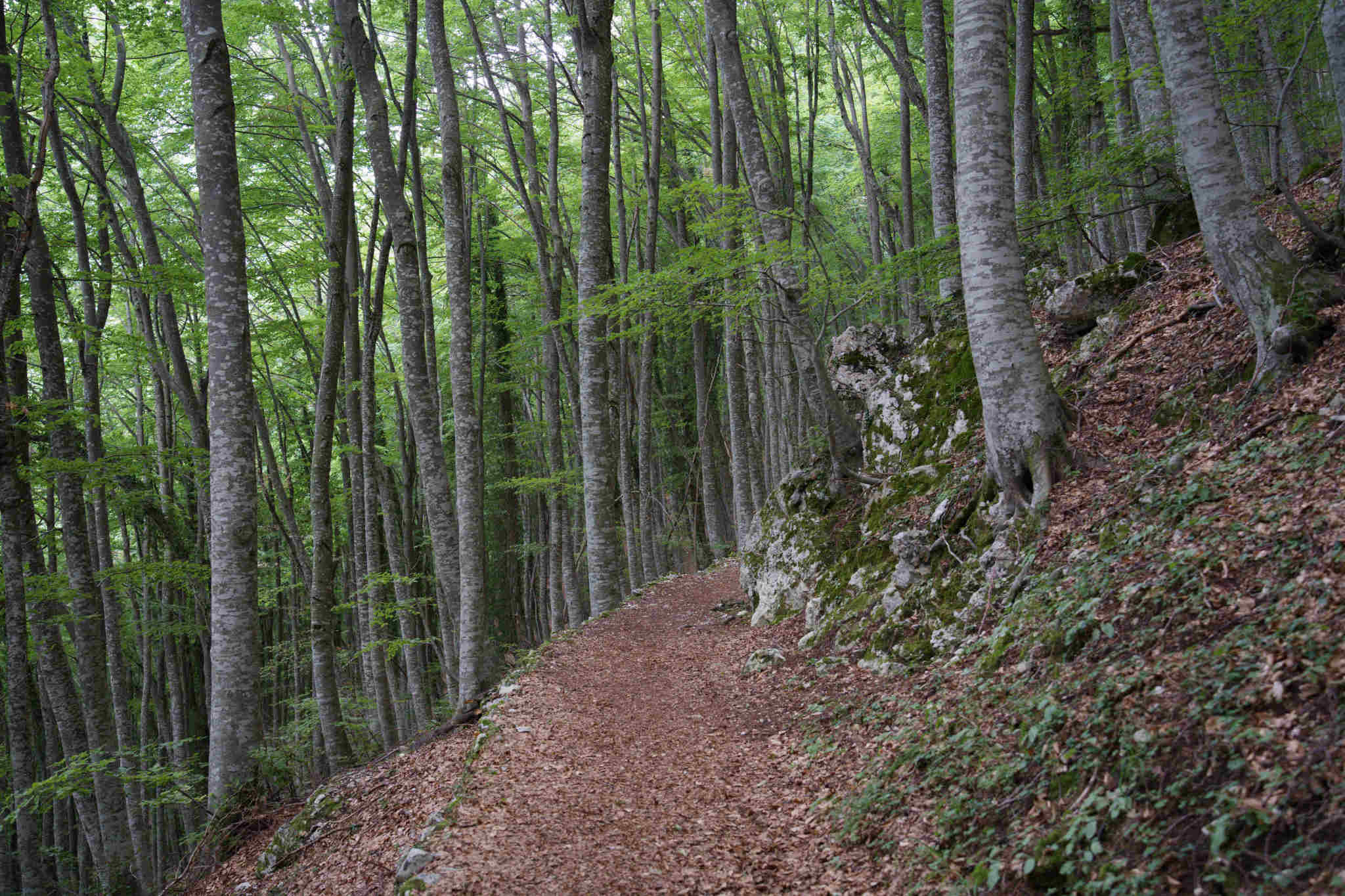 Cascata dell' Asinara