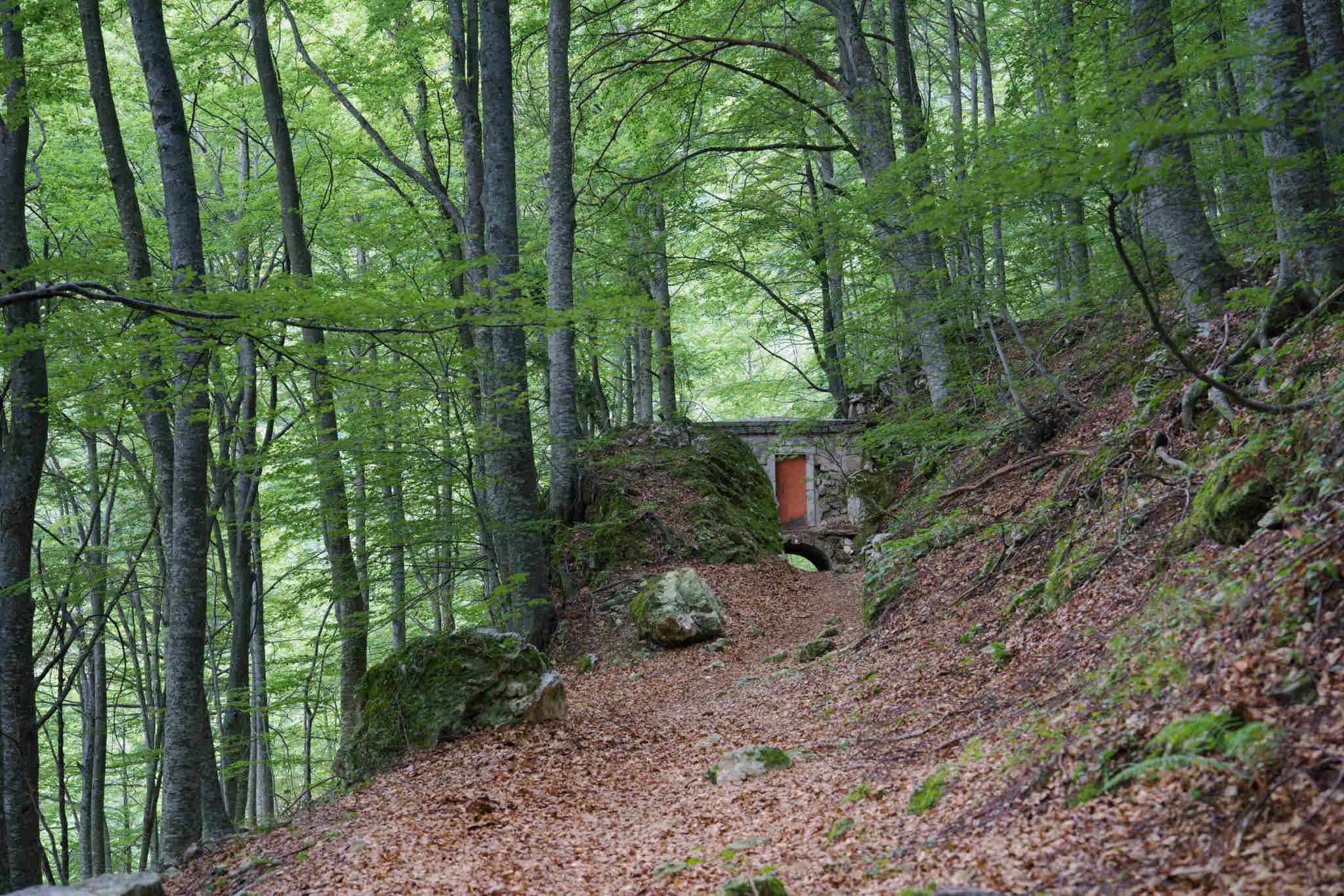 Cascata dell' Asinara