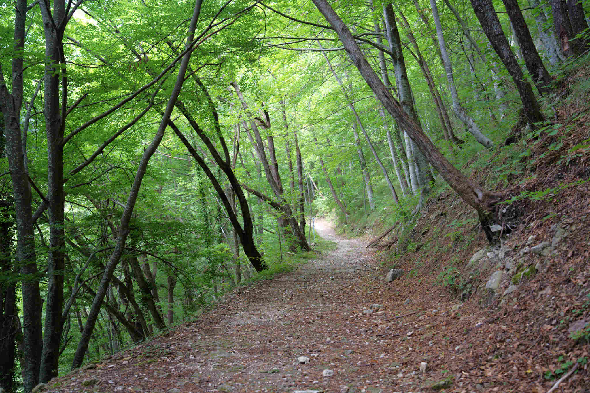 Cascata dell' Asinara